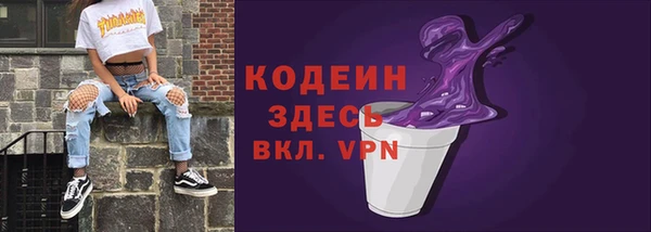 прущий лед Богданович