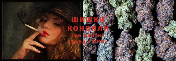 прущий лед Богданович
