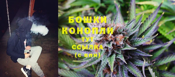 дживик Богородицк