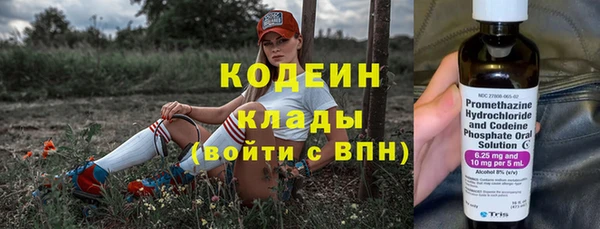 дживик Богородицк