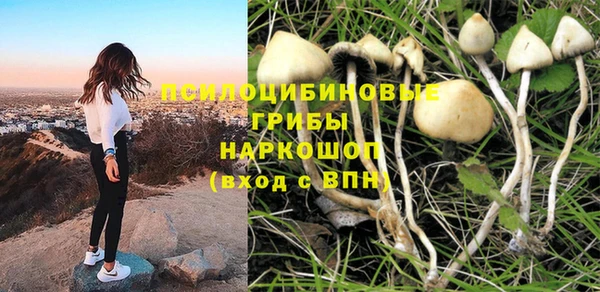 дживик Богородицк