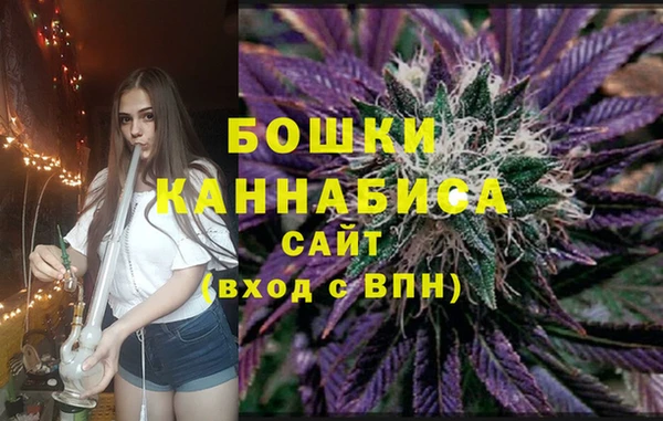 дживик Богородицк
