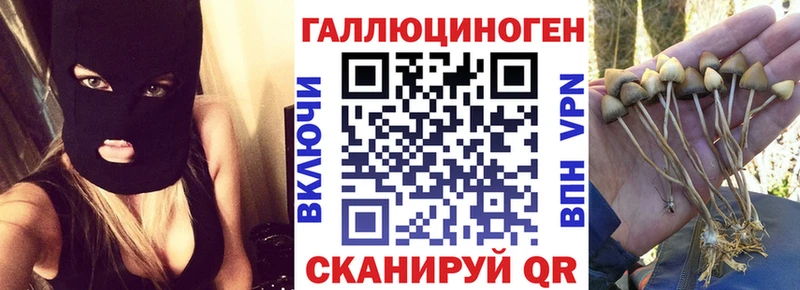 Галлюциногенные грибы мухоморы  hydra ссылка  Бежецк  магазин  наркотиков 